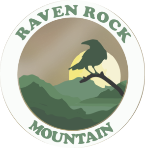 Skyscraper Treehouse | Raven Rock Mountain – Cabins & Treehouses near ...